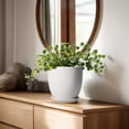 thumbnail image 2 of Ordivic 6 inch White Ceramic Planter with Drainage & Saucer, Round Indoor Plant Pot for Succulents & Cactus,Home Office Desk, Housewarming Gift, 2 of 8