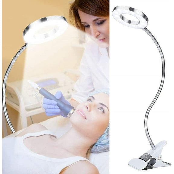 Portable LED Light Flexible Gooseneck Desk Lamp with Cold and Warm Light 2 Modes USB Rechargeable Reading Light with Clip for Makeup Tattoo Nail Art Beauty