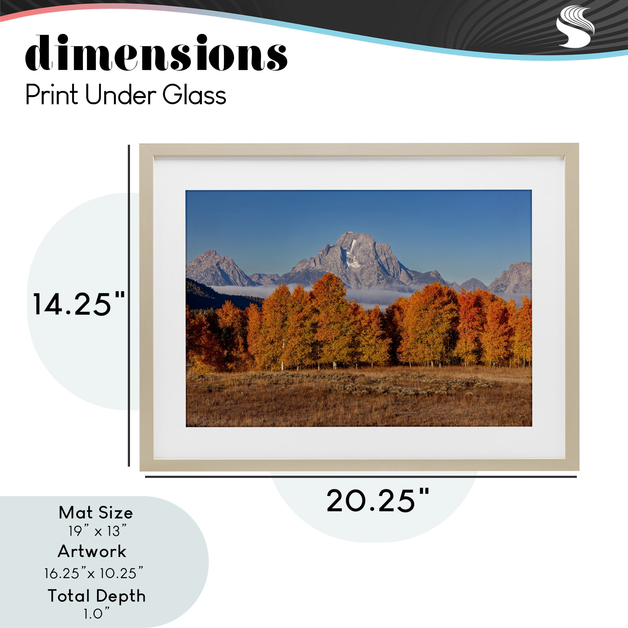 Autumn Tree Line With Mountain Birch Framed Print Under Glass, design by Shelley Carlisle