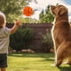 thumbnail image 3 of Pelota de platillo volador hinchable, juguete para perros de descompresión, Juguetes Divertidos para exteriores, pelota de platillo volador, pelota de lanzamiento interactiva para diversión rodante, 3 of 7