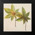 thumbnail image 2 of Pinto, Patricia 15x15 Black Modern Framed Museum Art Print Titled - Simple and Beauty II, 2 of 5