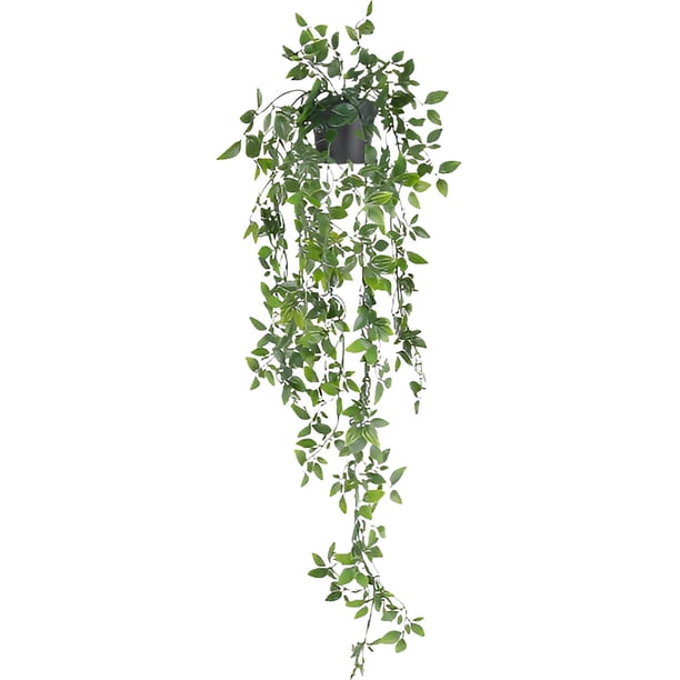 Advancent Planta artificial Eucalipto Plantas colgantes falsas decorativas con maceta Vid falsa Maceta Interior Estante Jardín Oficina Decoración Advancent HA084260-00