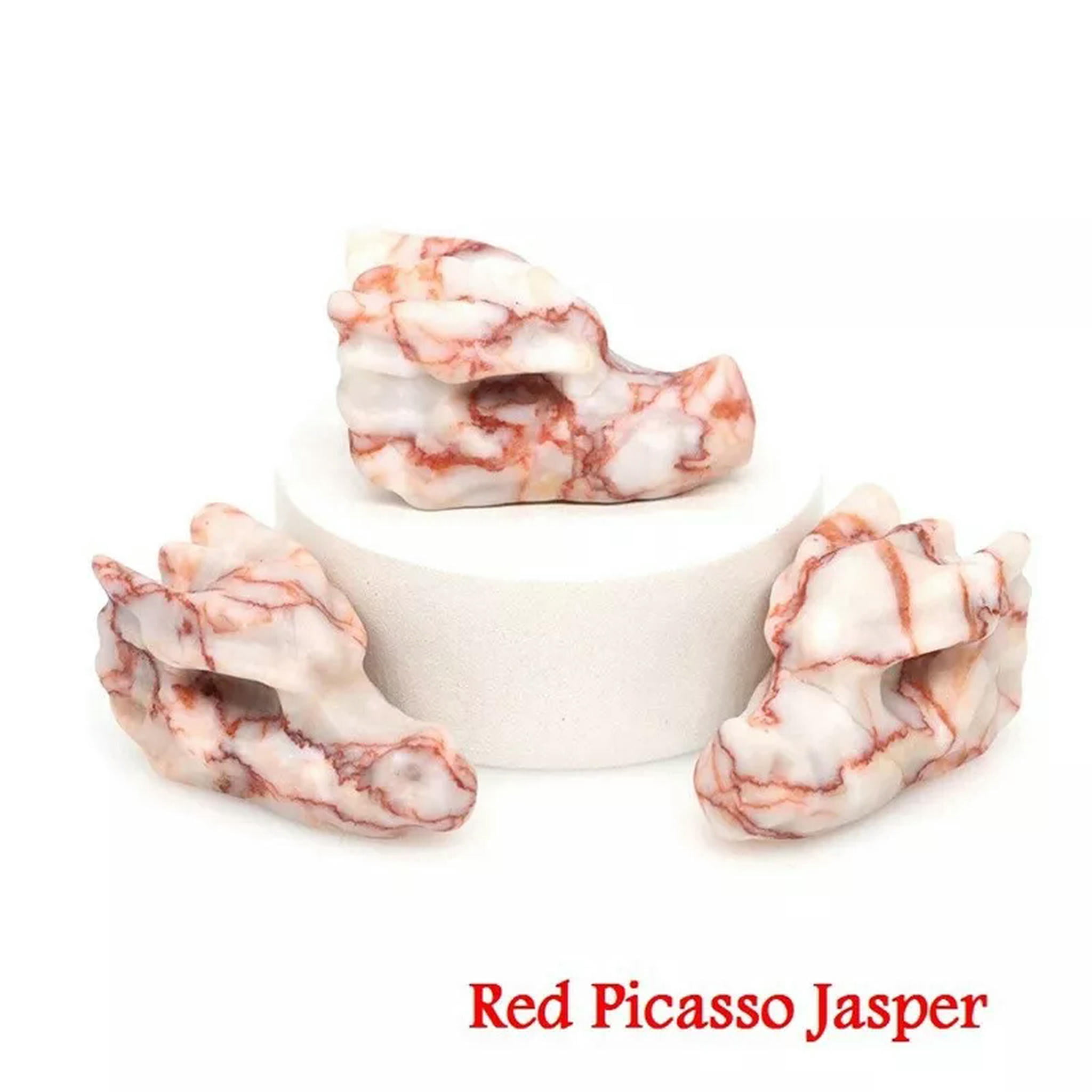 EOEMY 5Pcs Natural Red Picasso Jasper Quartz Crystal Dragon Head Skeleton Carved Decor