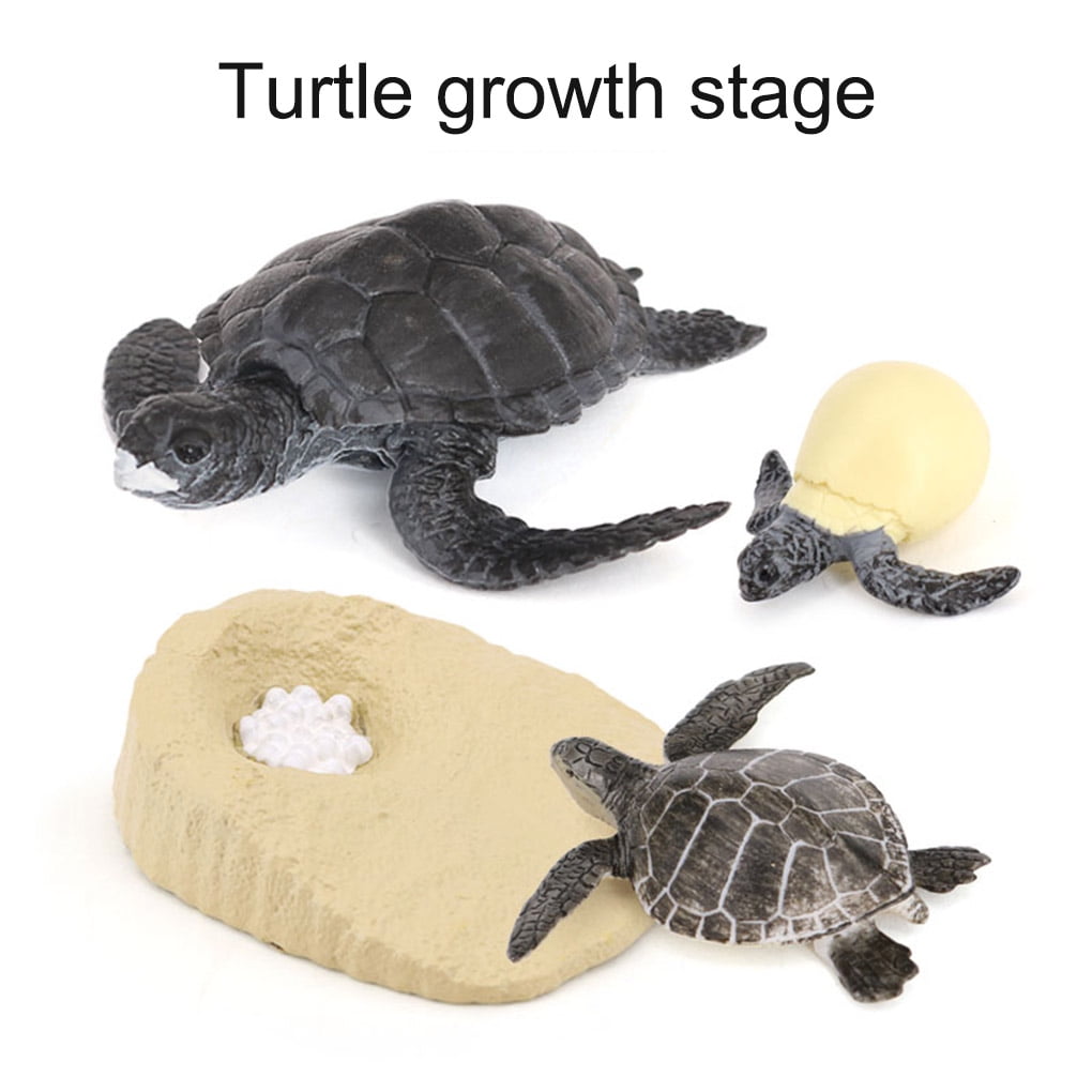  SUNGOOYUE Duck 4 Stage Growth Cycle Toy, High Strength