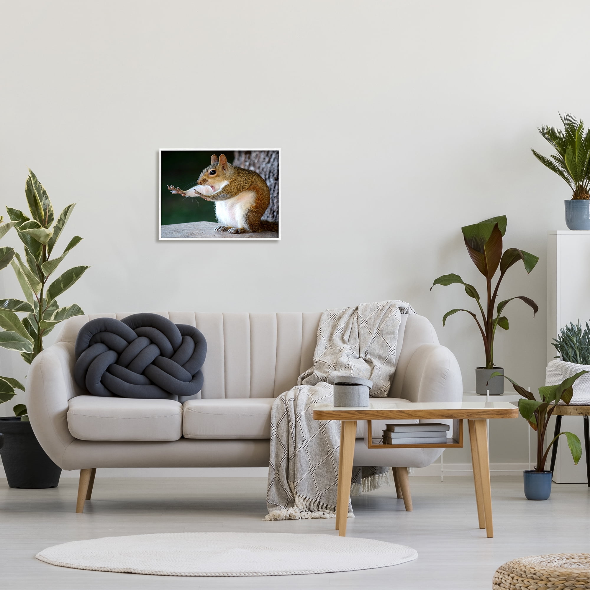 Stupell Industries Funny Shocked Pose Squirrel Animals & Insects Photography White Framed Art Print Wall Art, 20 x 16