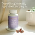 thumbnail image 6 of Boobie Bears Elderberry Lactation Gummies, Supporting Lactation with Milk-Boosting Superfoods, 60 Gummies, 6 of 14