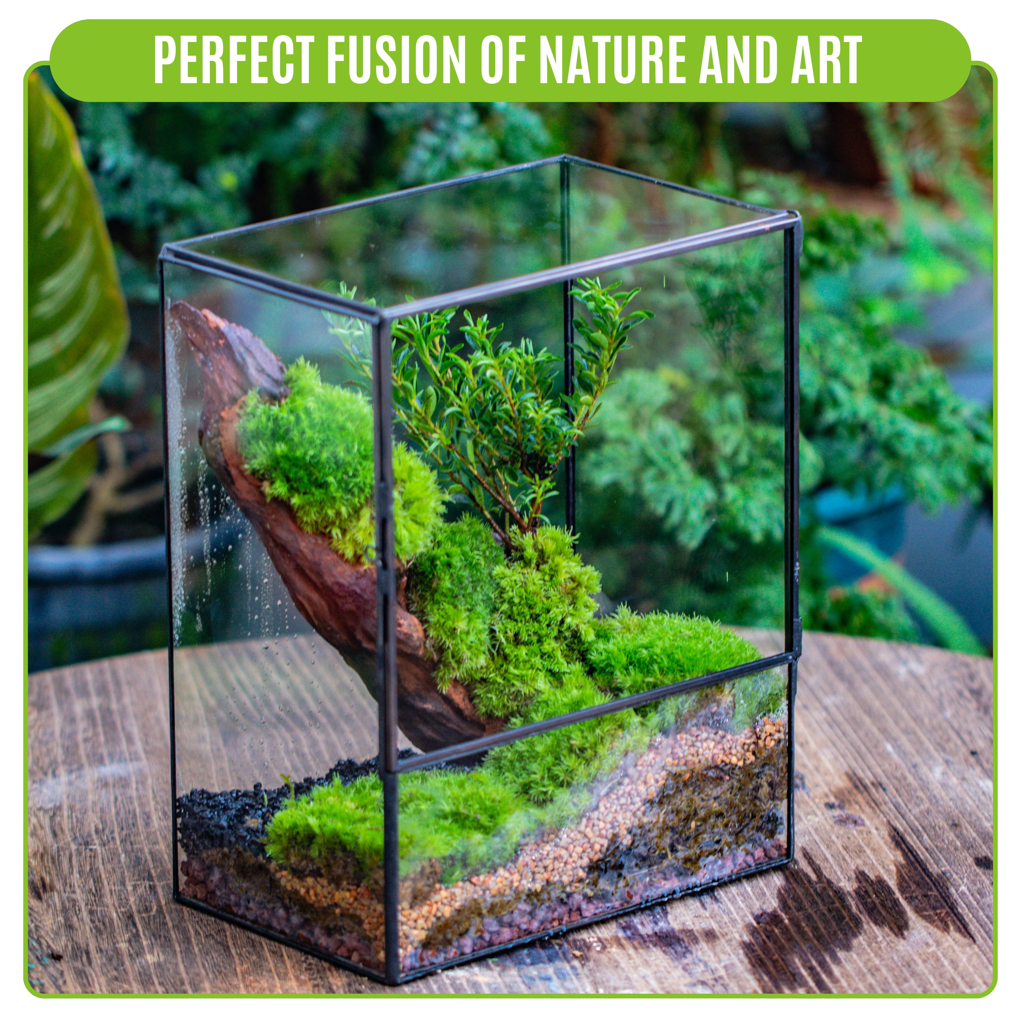 NCYP Small Rectangle Glass Terrarium with Door - Clear Tall Closed Geometric Planter for Moss, Fern, Indoor Tabletop Decor (Terrarium Only)