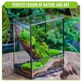 thumbnail image 4 of NCYP Small Rectangle Glass Terrarium with Door - Clear Geometric Planter for Succulents, Indoor Tabletop Decor (Terrarium Only), 4 of 8