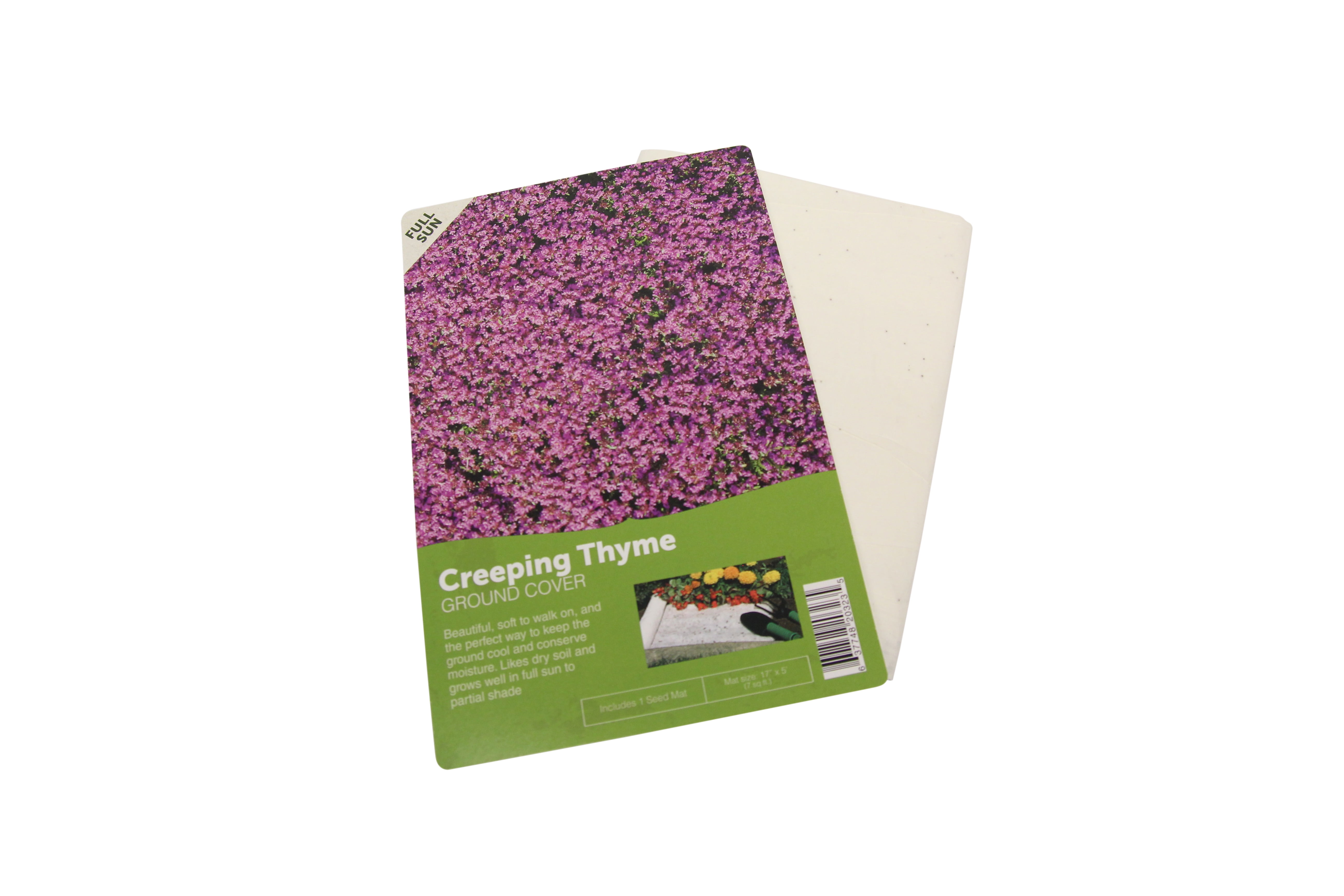 Details about   Creeping Thyme Pre-Seeded Flower Mat with Soil 