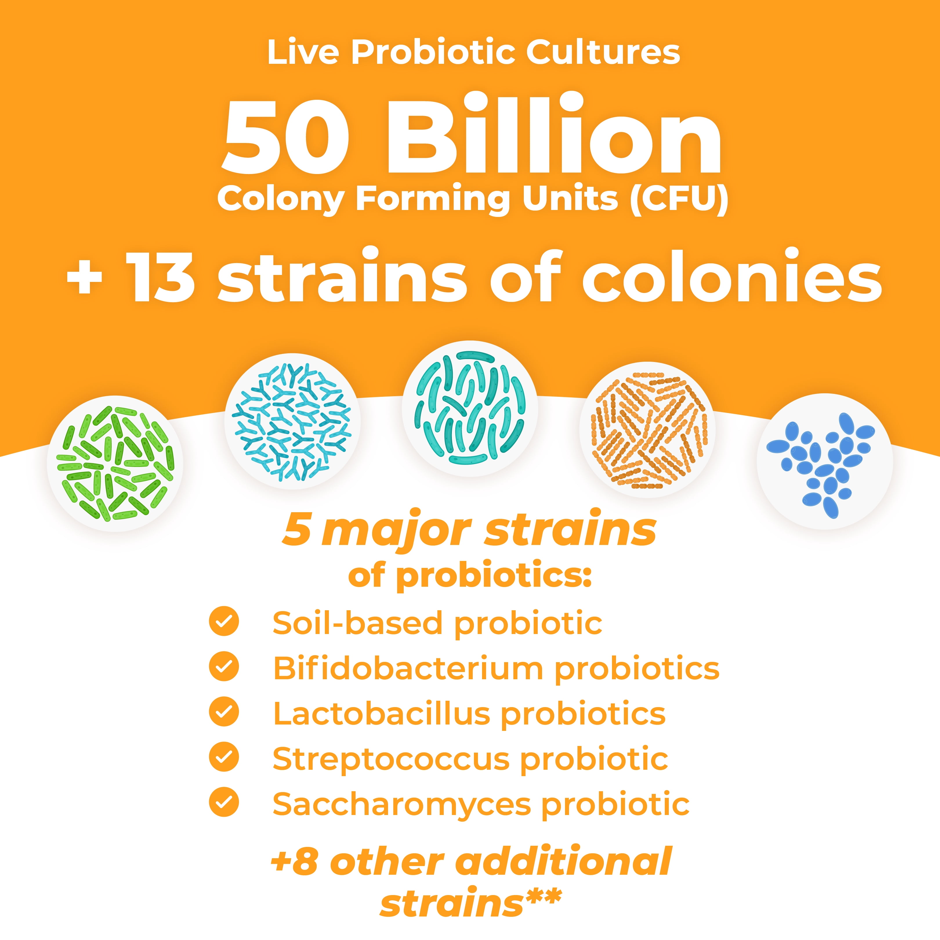 Sapiens Daily Probiotics for Digestive Health, 50 Billion CFU, 13 Strains, Gut Flora Probiotics , Acidophilus Probiotics and Prebiotics by PureHealth Research