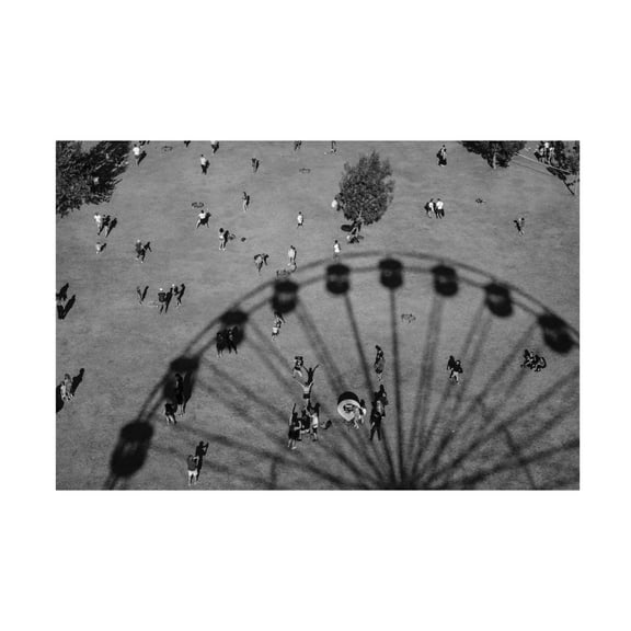 Trademark Fine Art Andra Stoica Ants Canvas Wall Art