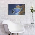 thumbnail image 5 of Luxe Metal Art 'Powder Blue Tang' by Durwood Coffey, Metal Wall Art, 24"x16", 5 of 8