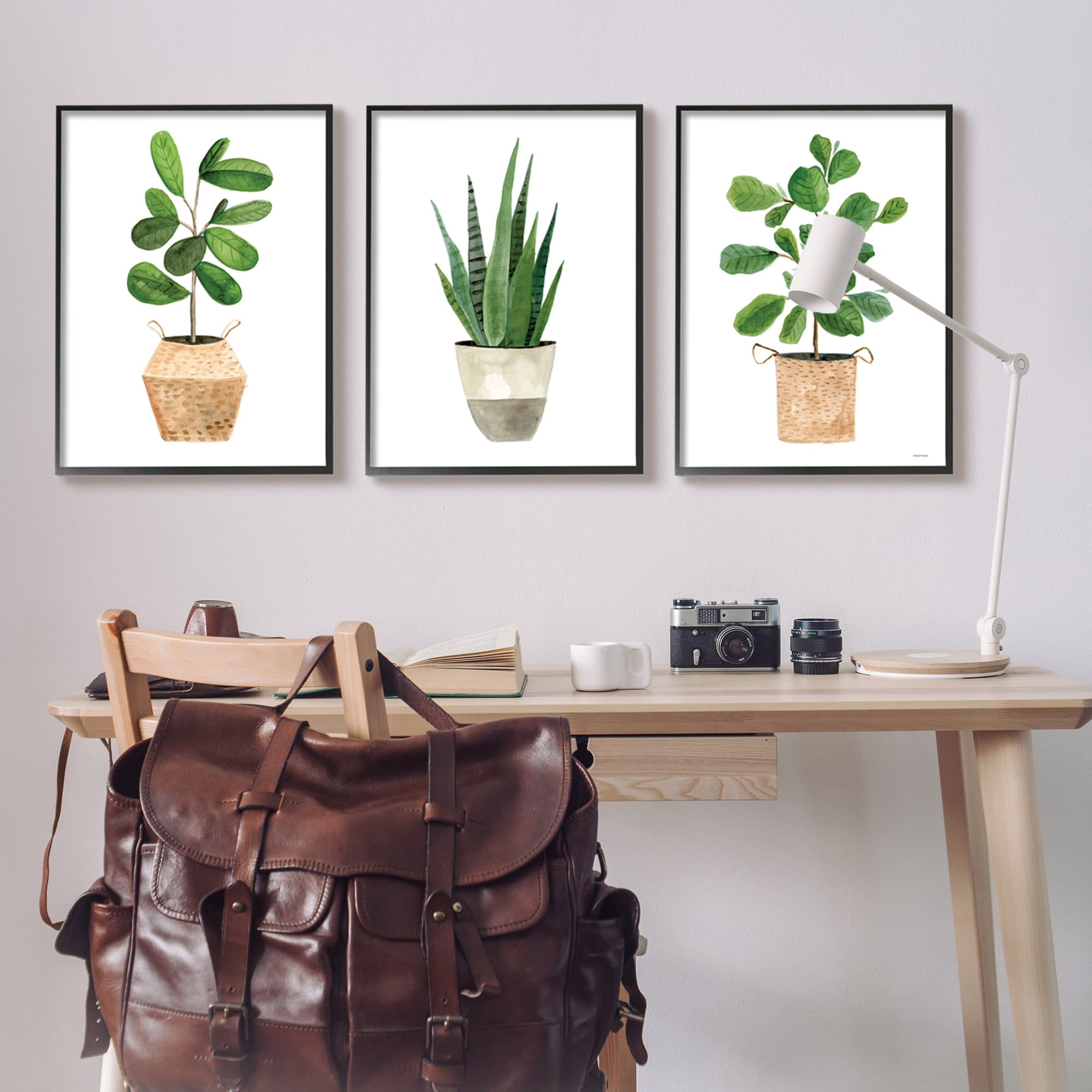 Stupell Minimal Potted Plants Botanicals Botanical & Floral Painting Black Framed Art Print Wall Art, Set of 3
