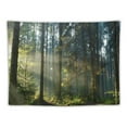 thumbnail image 5 of Awypu Forest Landscape Magic Tapestry for Home Décor Living Room Bedroom Decoration Curtain 60x50inch, 5 of 6