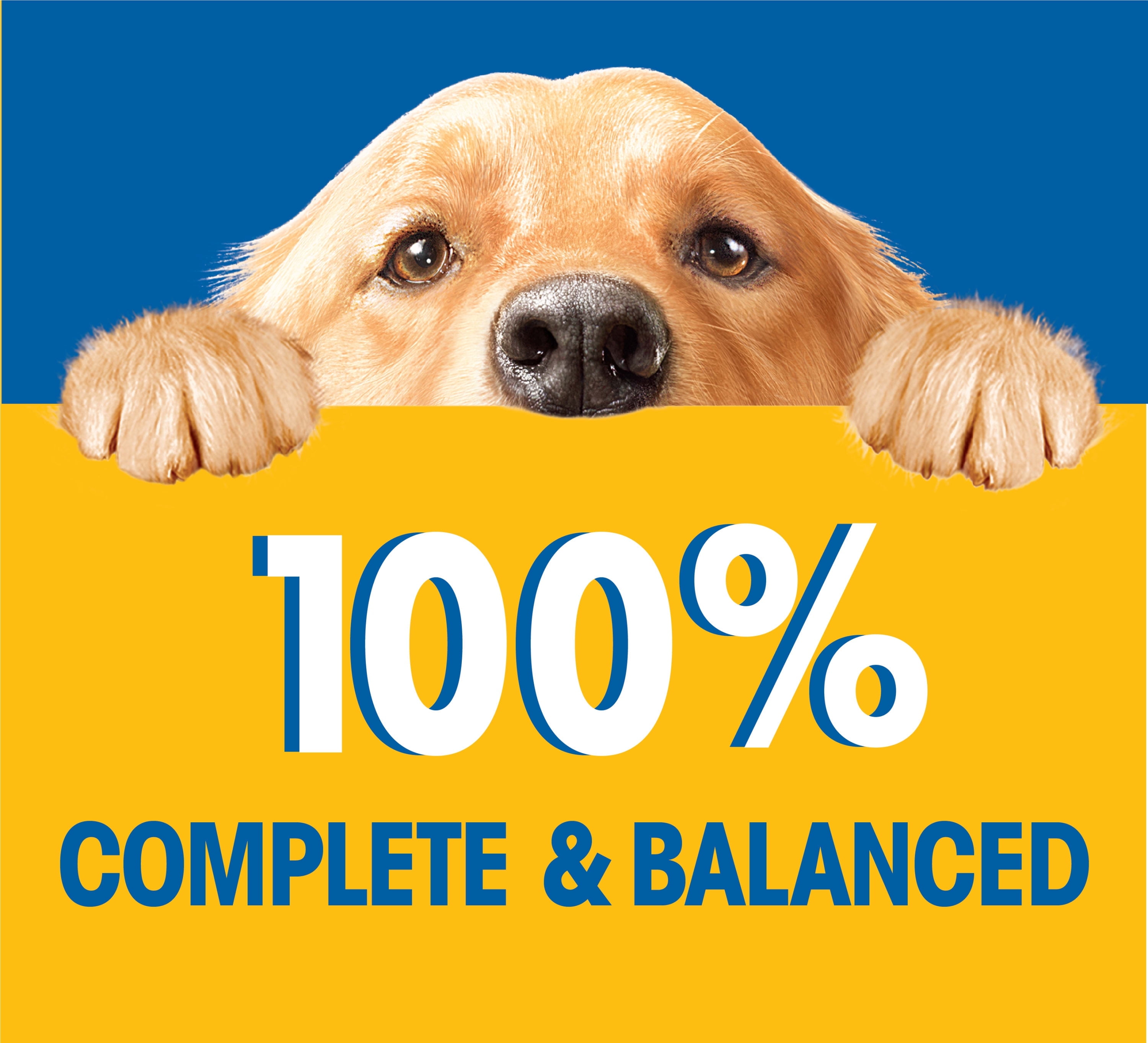 (16 pack) Pedigree Wet Dog Food Pouches, Bacon and Filet Mignon Flavor, 3.5 oz. Pouch