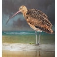 thumbnail image 2 of Vest, Christopher 15x16 White Modern Wood Framed Museum Art Print Titled - Blissful Curlew, 2 of 4