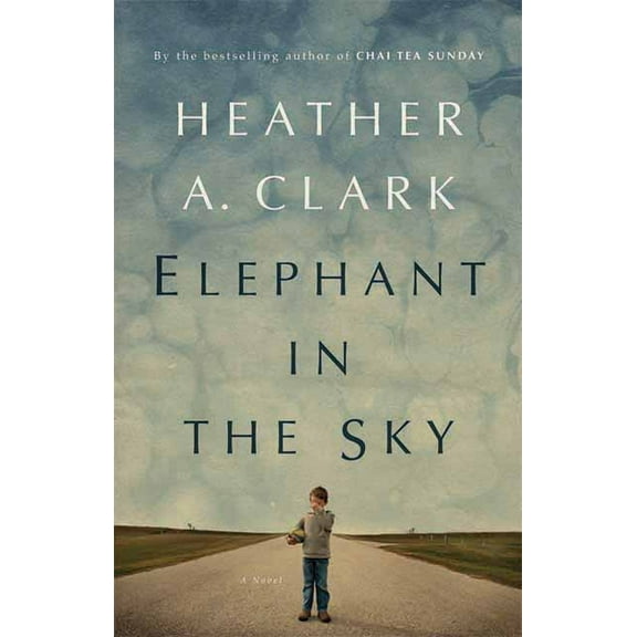 Elephant in the Sky : A Novel (Paperback)