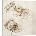 thumbnail image 1 of ARTCANVAS Studies of Crabs Canvas Art Print by Leonardo da Vinci - Size: 18" x 18" (0.75" Deep), 1 of 9