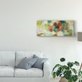 thumbnail image 3 of Trademark Fine Art 'Abundance I' Canvas Art by Heather Robinson, 3 of 4