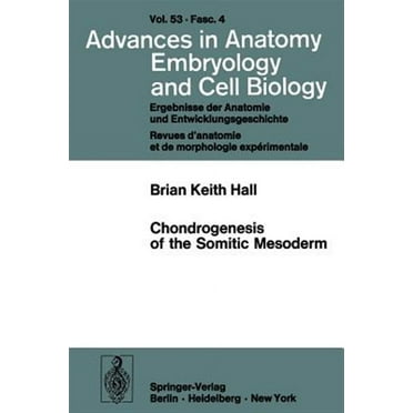 Advances in Anatomy, Embryology and Cell Biology: Chondrogenesis of the Somitic Mesoderm (Paperback)