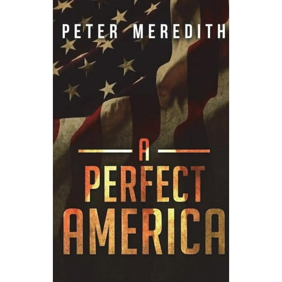 A Perfect America (Paperback)