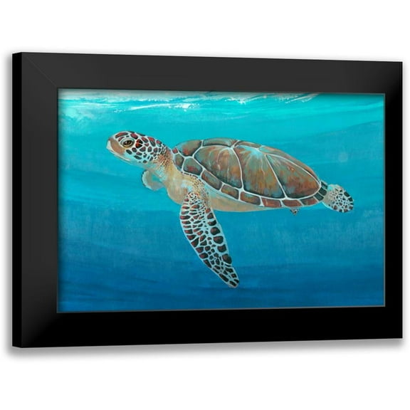 OToole, Tim 14x11 Black Modern Framed Museum Art Print Titled - Ocean Sea Turtle II