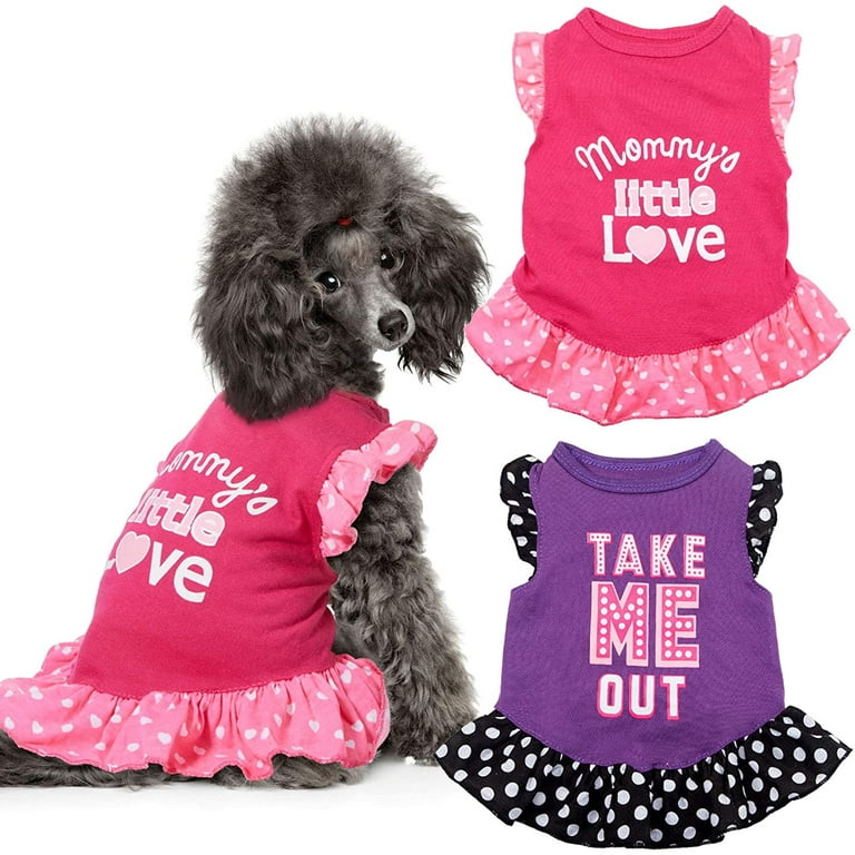 Clothes for dogs near me cheap