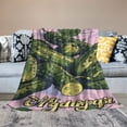 thumbnail image 2 of Orinice Pickle Blanket Green Gifts for Women Men Kids Blanket Soft Fuzzy Flannel Plush Food Throw Blankets for Couch Sofa Bed Home Decorative Blankets All Season  40x50in, 2 of 6