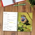 thumbnail image 3 of Backyard Birds 2026 Engagement Calendar, (Paperback), 3 of 5