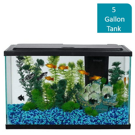 Aqua Culture 5-Gallon Fish Tank Starter Kit With LED (Best Pet Fish For Small Tanks)