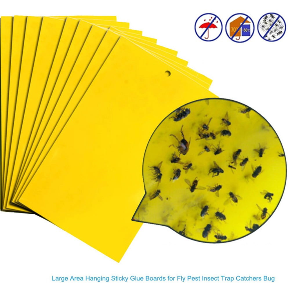 20 Pcs Dual-Sided Yellow Sticky Fly Traps Fruit Fly and Gnat Trap with Hanging 