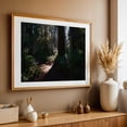 thumbnail image 5 of Untitled - California Photography Forest Nature Woodland Scenic Woods Mystical Landscape Unframed Wall Art Print 12 x 18 inches, 5 of 7