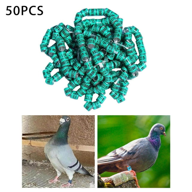 ruzhgo 50x 2023 Pigeon Leg Rings Bird Foot Bands for Bantam Finch Canary Green