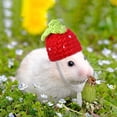 thumbnail image 4 of 10PCS Mini Hamster Hat Hand Knitted Small Animals Hat with Adjustable Strap Frog Bunny Rainbow Carrot Mini Hat Tiny Cute Pet Hat for Small Animals Holiday Party Clothes Costume Accessories Photo Props, 4 of 6