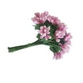 thumbnail image 5 of 12pcs / bunch Mini Pip Artificial Berry Picks Fruit Flower Estambres para DIY Wedding Christmas Garland Box Scrapbooking Decoración (Rosa), 5 of 5