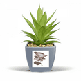 thumbnail image 1 of Delicious Home Dish Mushroom Illustration Fake Pineapple Flower Pot Vase Mini Decor, 1 of 3