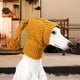 thumbnail image 5 of Gorro para perro, gorro de ganchillo, gorro divertido, suave y acogedor, calentador de orejas para el cuello, diadema S, 5 of 9
