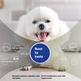 thumbnail image 2 of Pet Shop Specialized Disinfectant and Deodorant Spray for Home Use, Cat and Dog Odor Removal Spray, Pet Air Freshener Spray, 2 of 5