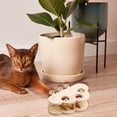 thumbnail image 4 of RKSTN Landscape Craftsmanship Cat Toys Whack Hamster Corrugated Cat Scratch Board Amuse Cat Toys Multifunctional Cat Toys Cat Supplies A, 4 of 6