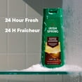 thumbnail image 4 of Irish Spring Saharan Dawn Moisturizing Body Wash for Men, 24 Hour Fresh, Face and Body Wash, Men’s Body Wash, Paraben Free, Cedar and Vetiver Scent, 591 ml, 4 of 9