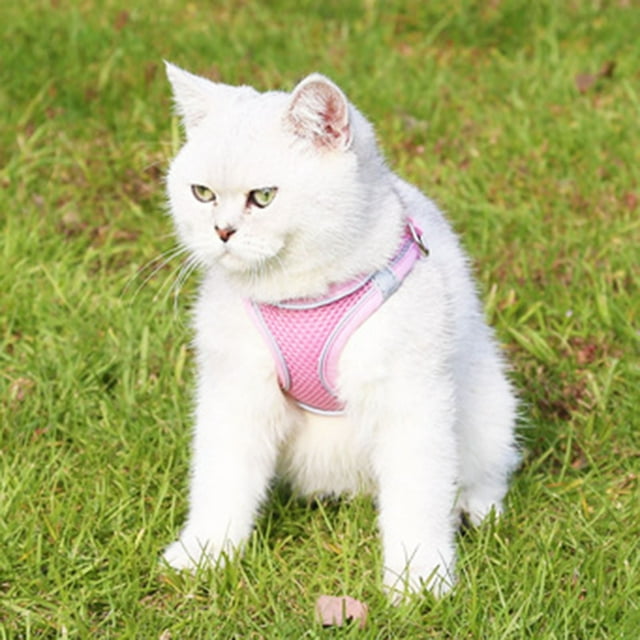 Soft Small Dog Harness And Leash Set Step In Air Mesh Puppy Harness Leash Easy To Walk Dog Harness Vest Adjustable Reflective No Pull Dog Harnesses For Small Dogs Cats Dog Sled for Weight
