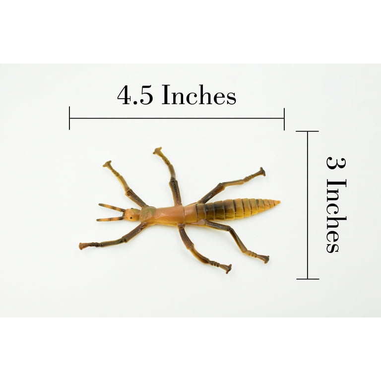 Stick 2024 insect toy