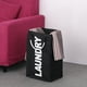 thumbnail image 3 of Bolsa de lavandería plegable práctico Lavado de ropa sucia Cesta de lavandería Bolsa de almacenamien Tomshoo  Negro, 3 of 7