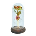 thumbnail image 2 of Romantic Immortal Flower Micro Landscape Rose Simulation Glass Shade Led Llight, 2 of 3