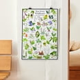 thumbnail image 3 of New Jersey Wildflowers Poster - Native Woodland Blooms - Educational Science Chart of New Jersey Flowers, 3 of 5