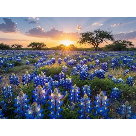 wooden puzzle Field of Blue Flowers at Sunset Intelligent Game Fit togather a magic Art for home Decoration or Prensent 1000 pieces