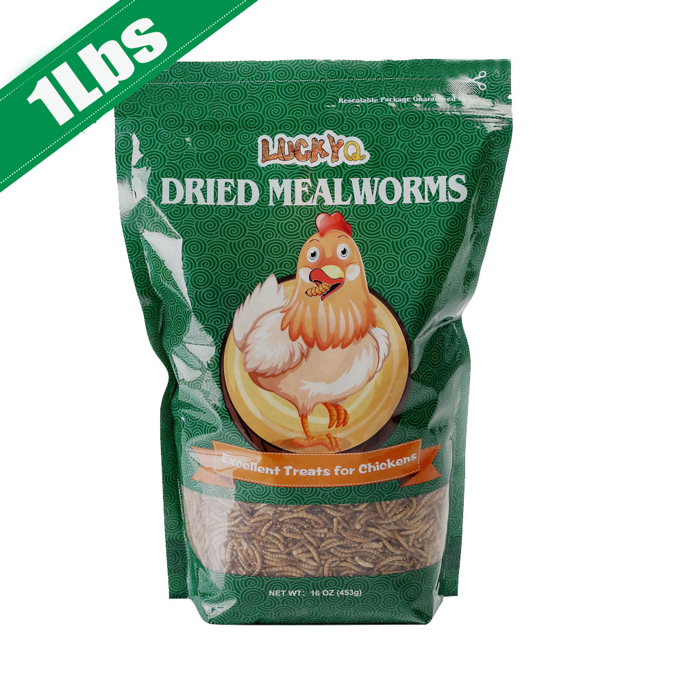 NonGMO Dried Mealworms 100 Natural for chickens Birds Bluebirds
