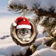 thumbnail image 4 of Colgante Decorativo Adorno navideño plano conmemorativo para mascotas, de acrílico, ideal para decorar el hogar (1 unidad). Rkxzt, 4 of 8