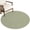 Sage Green, variant on Area Rugs 4'x6'. Sage Green Abstract Art Carpet Runner Indoor Outdoor Rugs Home Decor Aesthetic, Modern Aesthetics Farmhouse Art Non Slip Mats Washable Accent Rug for Living Room Bedroom