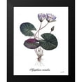 thumbnail image 2 of Sophie 6 12x14 Black Modern Framed Museum Art Print Titled - Nymphaea Caerulea, 2 of 5